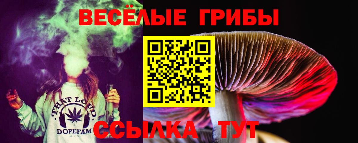 Псилоцибиновые грибы ЛСД Коломна